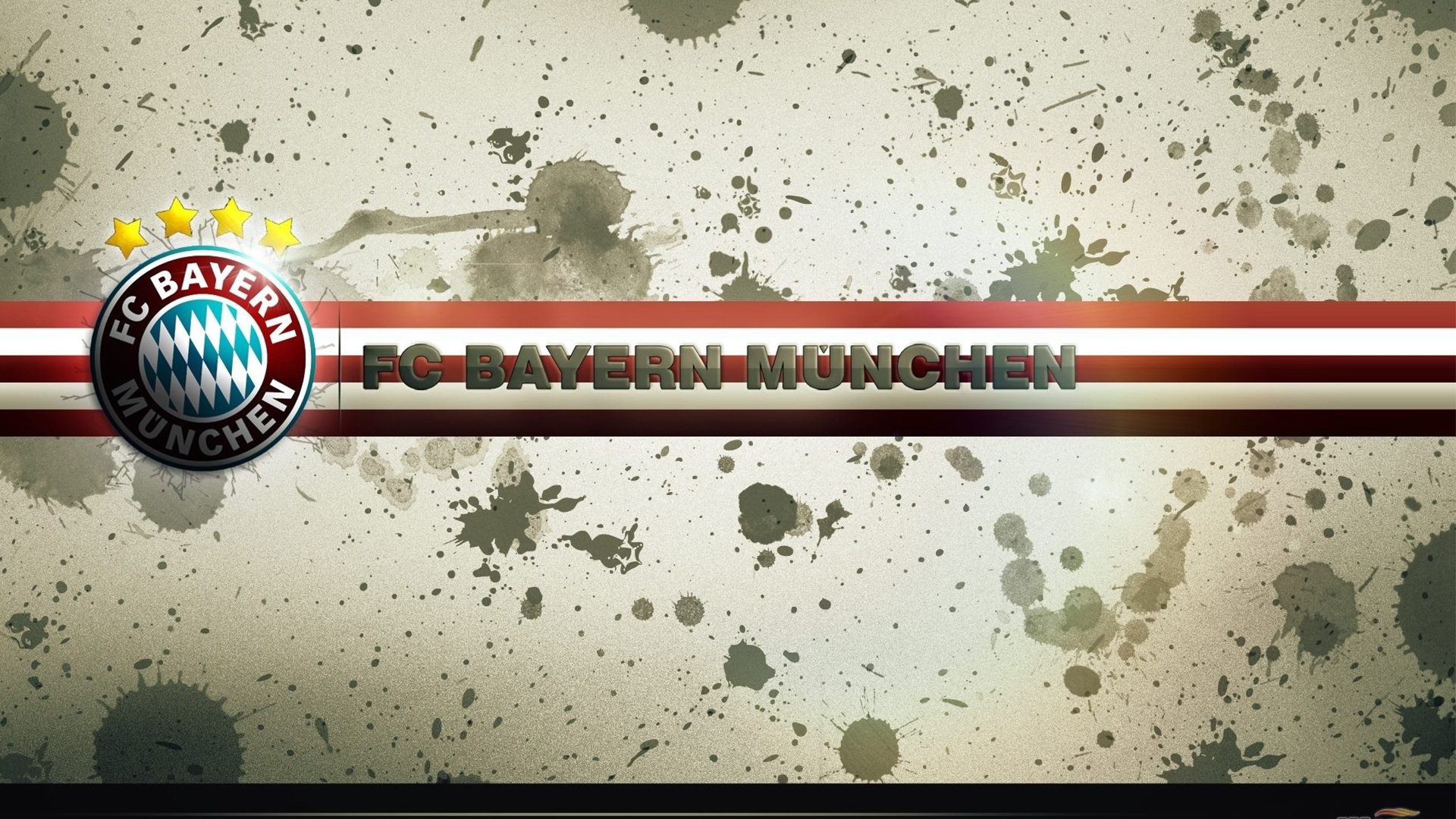 选手排位赛：谁将晋级总决赛？，排位赛冠军